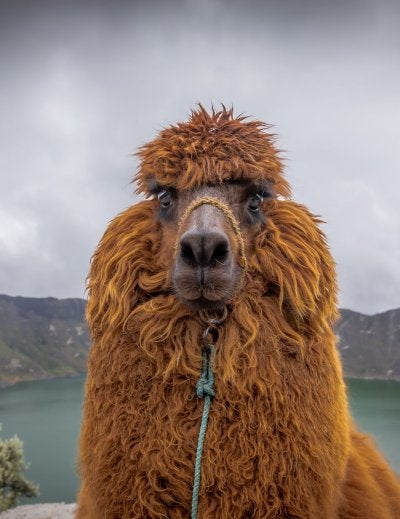 UGC_Americas_Ecuador_Laguna_Quilotoa_ID16770_Robbie