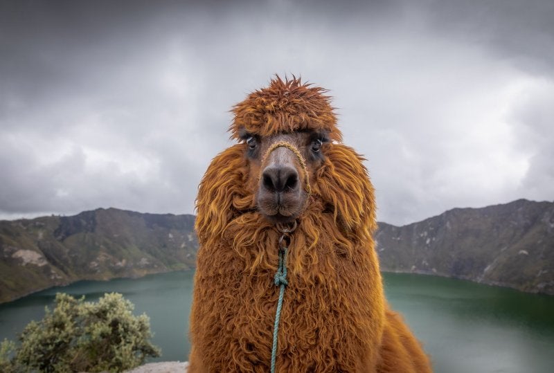UGC_Americas_Ecuador_Laguna_Quilotoa_ID16770_Robbie