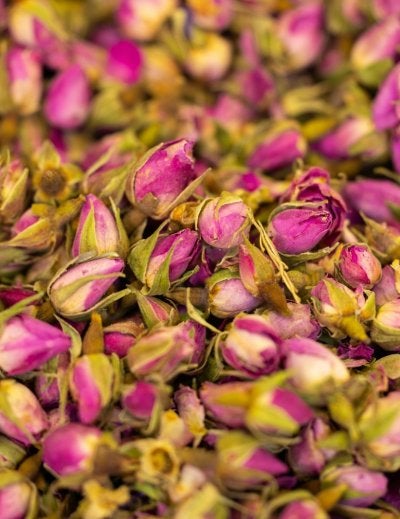 A detailed close-up of vibrant pink rose buds scattered in an artistic composition.
