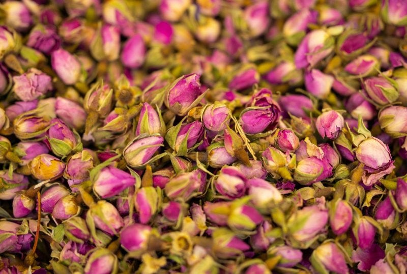 A detailed close-up of vibrant pink rose buds scattered in an artistic composition.