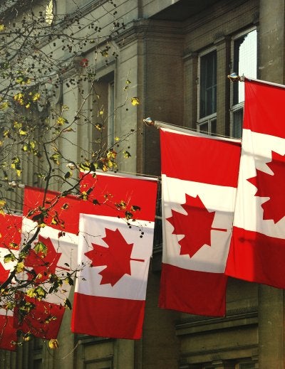 canadian flags