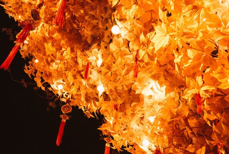 china autumn festival