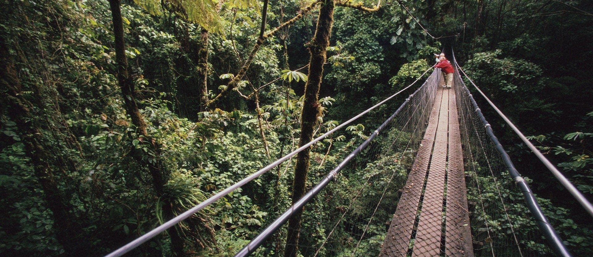 Monteverde Cloud Forest & Playa Hermosa