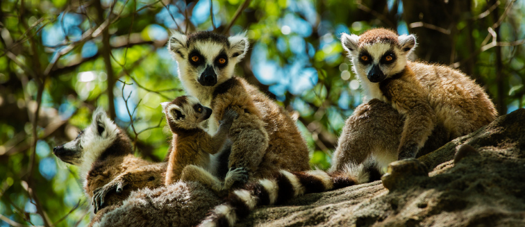 Qué ver en Madagascar Ambalavao