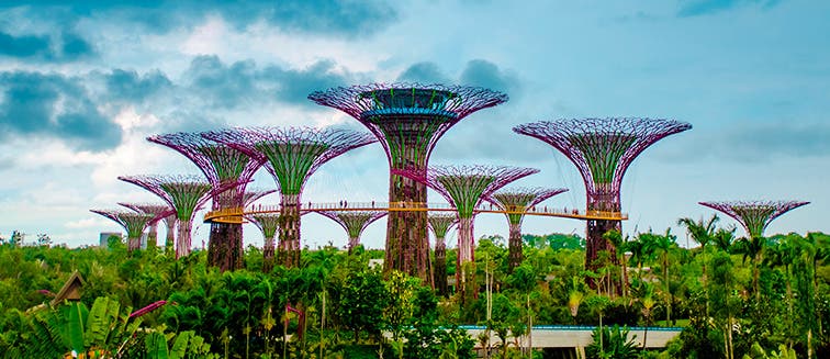 Qué ver en Singapur Garden by the bay