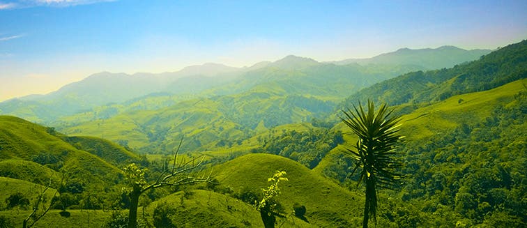 Qué ver en Costa Rica Parque Nacional Braulio Carrillo