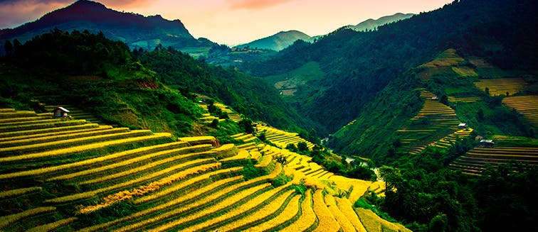 What to see in Vietnam Sapa