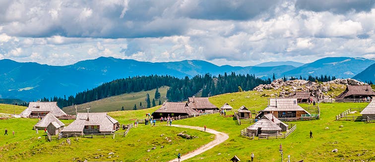 Qué ver en Eslovenia Velika Planina